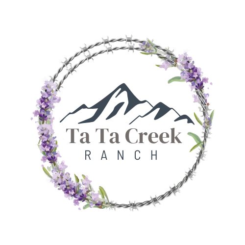 ta ta creek (15) 1656181972
